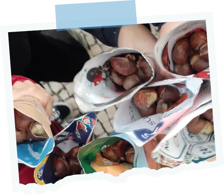 Castanhas em Grupo