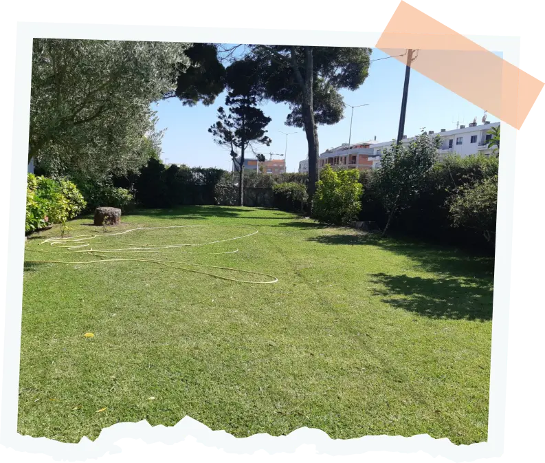 Espaço Exterior Jardim